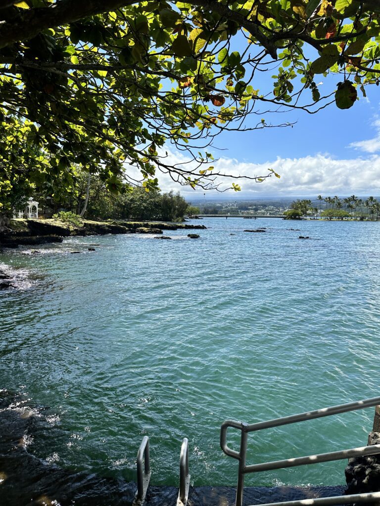 a body of water with trees and a blue sky