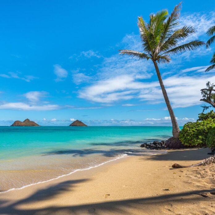 The 41 Best Things To Do On Oahu 