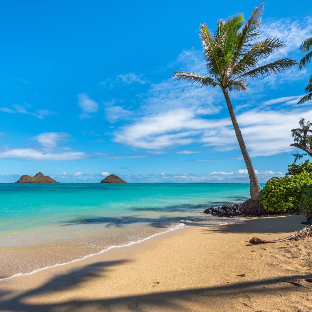 The 41 Best Things To Do On Oahu | Bucket List Guide (2024)