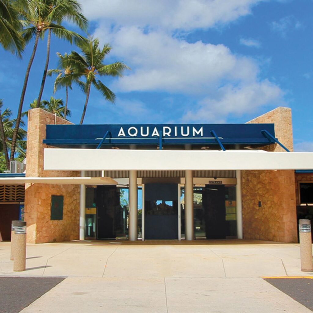 a building with a blue awning and palm trees