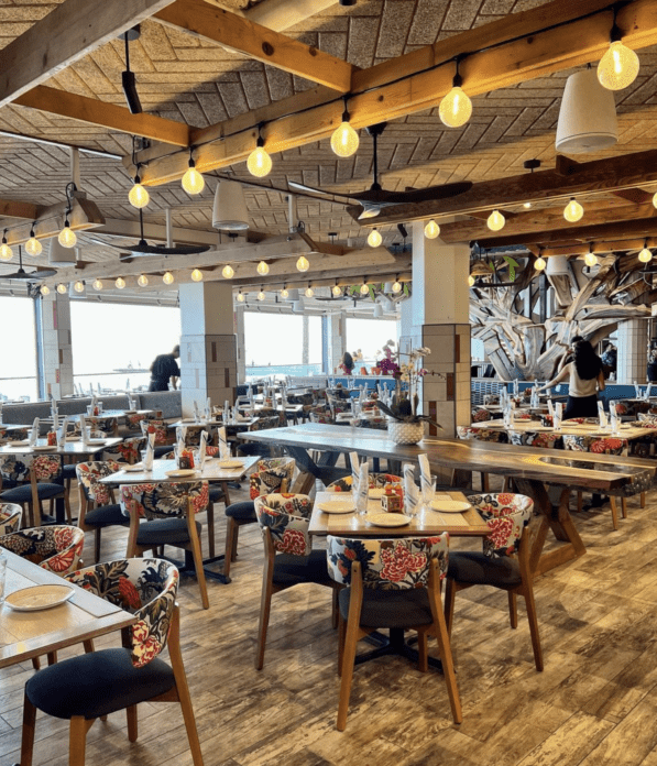 Discover Waikiki's Hottest New Spot: Monkeypod Kitchen by Merriman