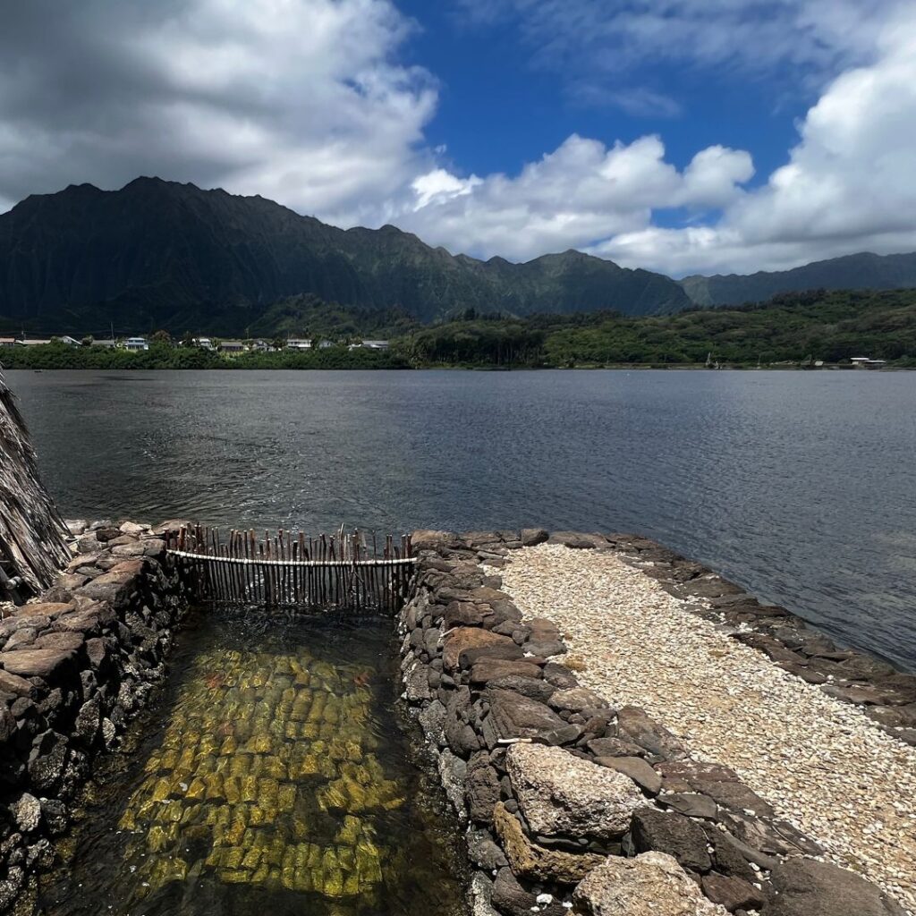 He'eia Fishpond Volunteer Opportunities: Participate in Ancient Aquaculture