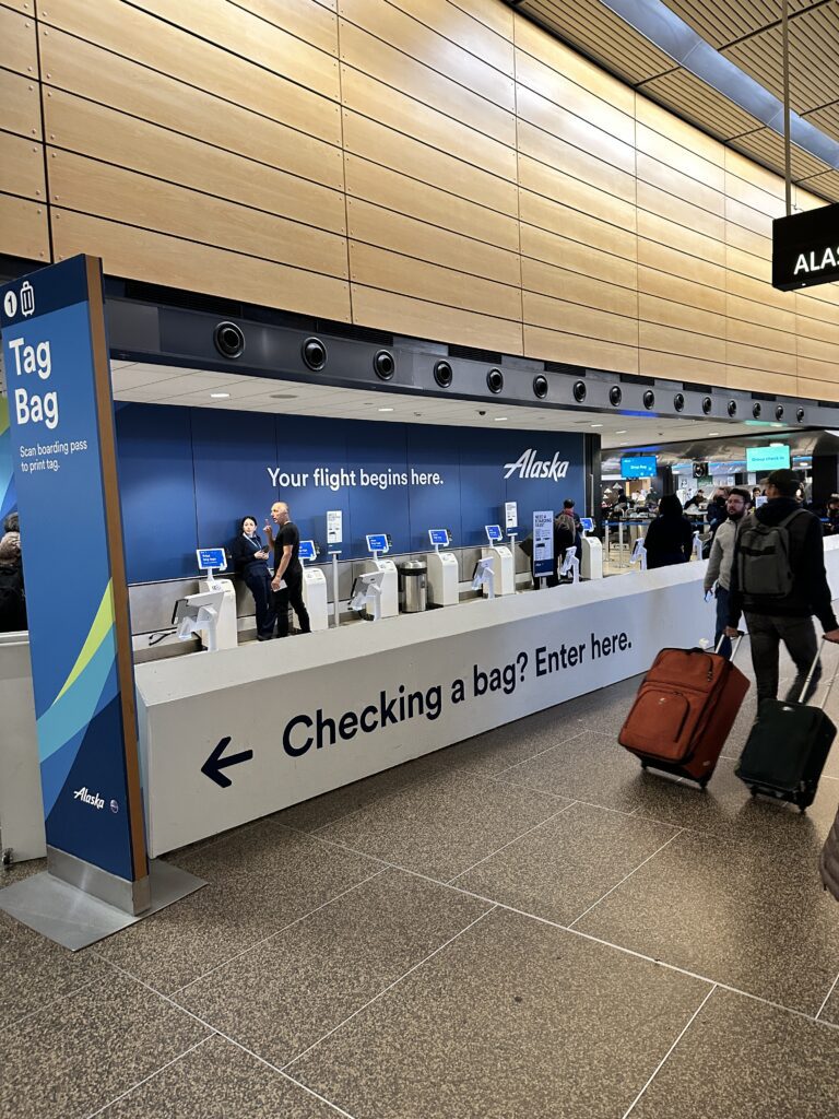 people with luggage in a terminal