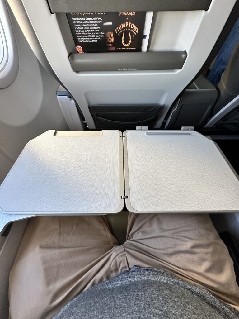 a person's legs in an airplane seat