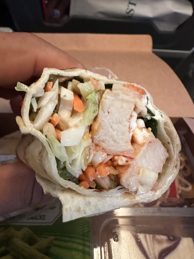 a hand holding a wrap