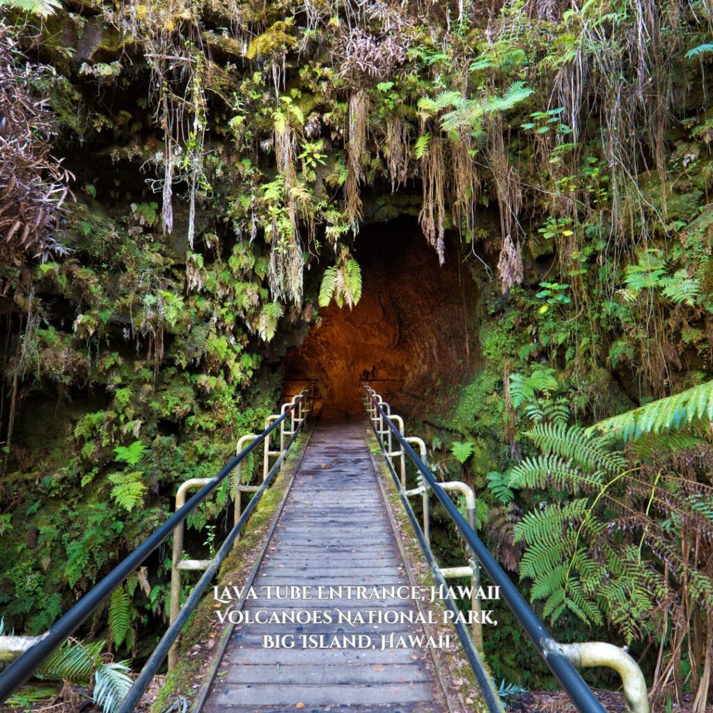 a wooden walkway leading to a cave