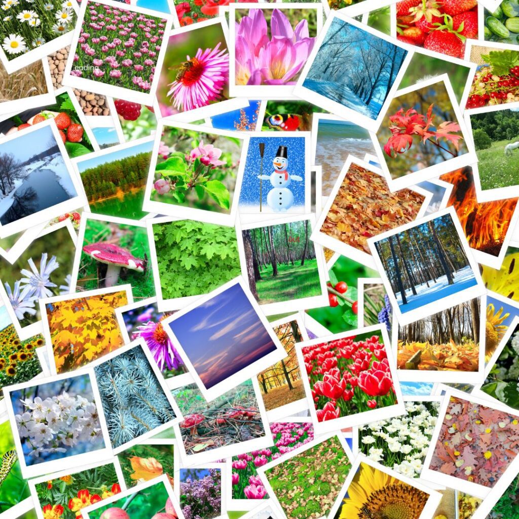 a pile of photos of different flowers and plants