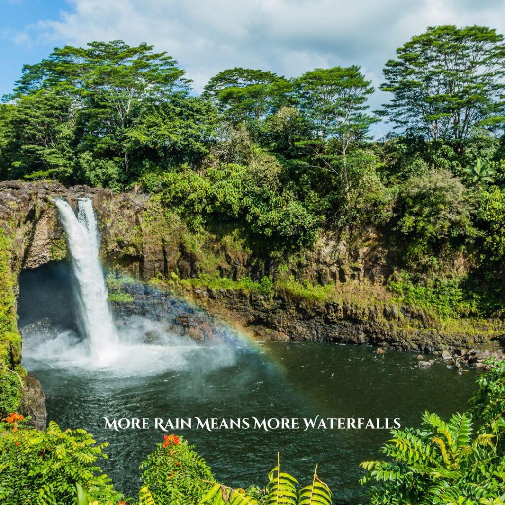 a waterfall in a forest is why picking the best island to visit in Hawaii in january is important