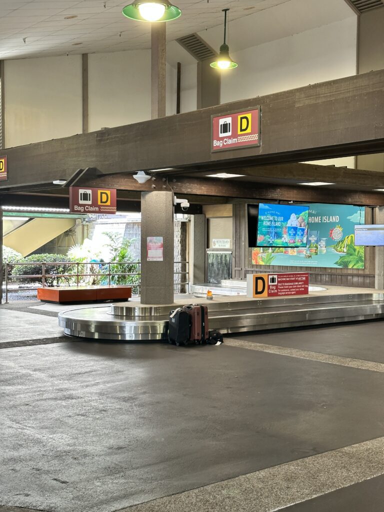 luggage carousel in a building