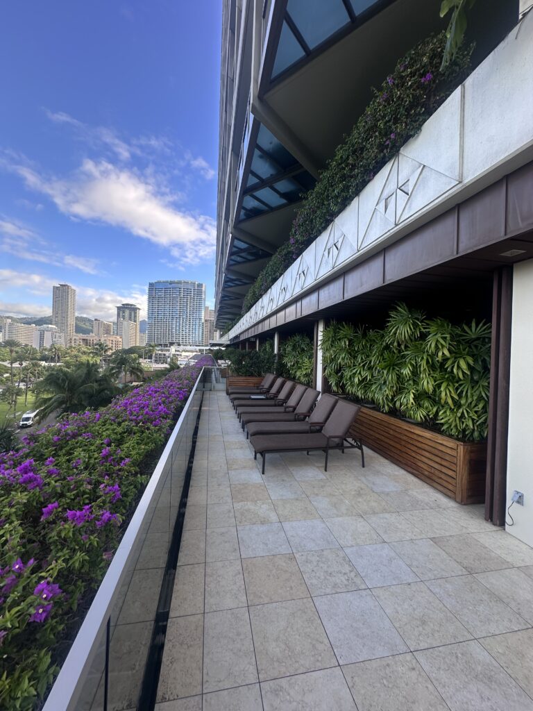 chairs on a balcony with plants and flowers