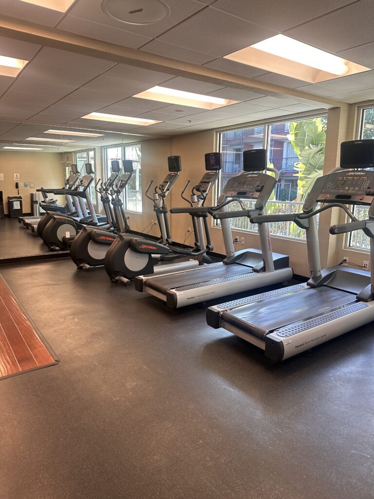 a group of treadmills in a gym