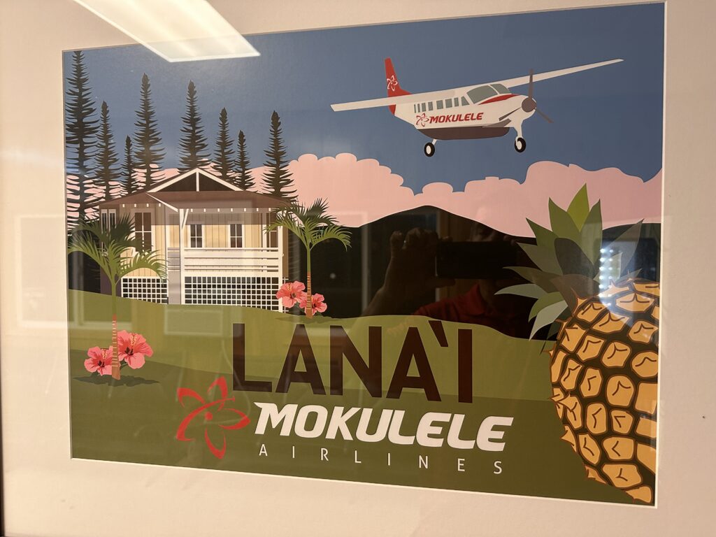 a poster of a plane and pineapple