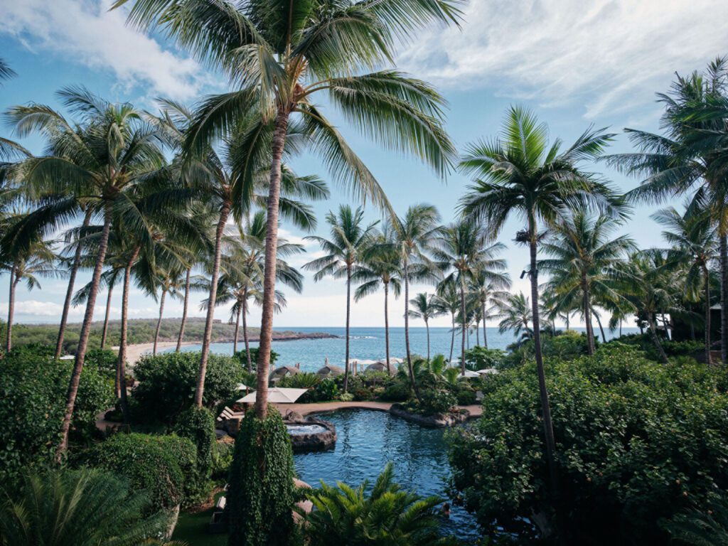 a pool surrounded by palm trees and a beach