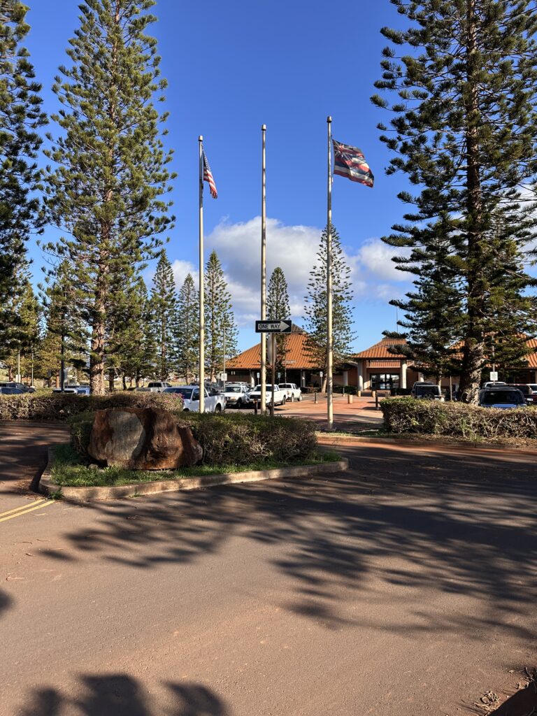 flags on poles in front of a building